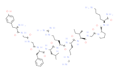 Dynorphin A (1-11) amide