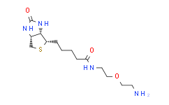 Biotin-PEG1-NH2