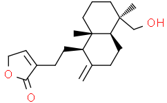 新穿心莲内酯苷元