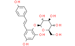 2，3，5，4-四羟基二苯乙烯葡萄糖苷