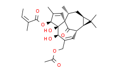 20-O-Acetylingenol-3-angelate,98%