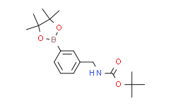 3-(4,4,5,5-四甲基-1,3,2-二氧杂硼杂环戊烷-2-基)苄基氨基甲酸叔丁酯