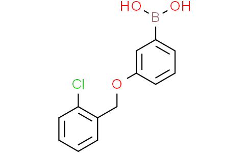 3-(2'-Chlorobenzyloxy)phenylboronic AcidCas:845551-45-3
