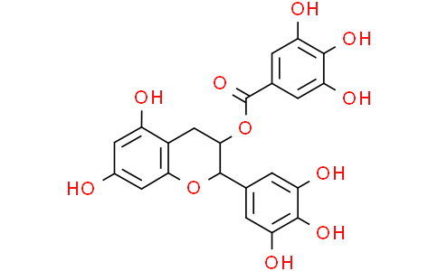 Tea polyphenol,97%