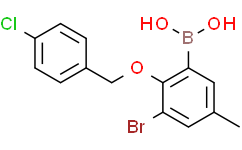3-溴-2-(4'-氯苄氧基)-5-甲基苯基硼酸
