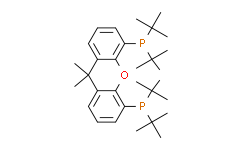 4，5-二(二叔丁基膦)-9，9-二甲基氧杂蒽,98%