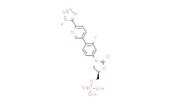 β-Defensin-2 (human) (trifluoroacetate salt)