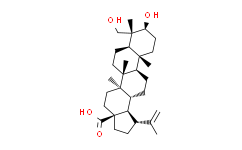 23-羟基白桦酸,≥98%