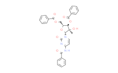 Prion Protein (106-126) (trifluoroacetate salt)