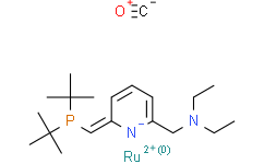 三(三苯基膦)羰基氢-[6]-2 - (N -2- 二乙胺基甲基咪唑)-1,6 -二氢]盐(Ⅱ)
