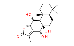 Yuexiandajisu E