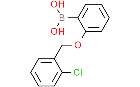 2-(2'-Chlorobenzyloxy)phenylboronic acidCas:870777-21-2