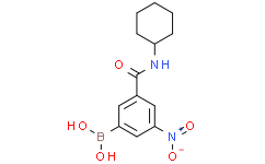 (3-(环己基氨基甲酰基)-5-硝基苯基)硼酸