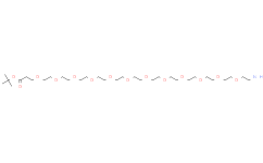 Amino-PEG12-t-butyl ester