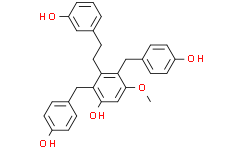 2025新老澳门原料