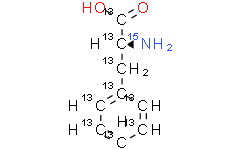 L-苯丙氨酸-13C9，15N