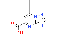 7-tert-Butyl-[1,2,4]triazolo[1,5-a]pyrimidine-5-carboxylic acid