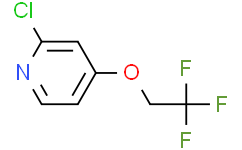 2-氯-4-(2，2，2-三氟乙氧基)吡啶,95%