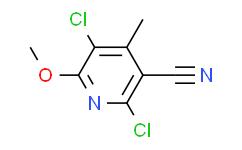 2，5-二氯-6-甲氧基-4-甲基烟腈,97%