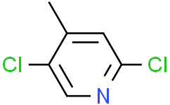 2，5-二氯-4-甲基吡啶,97%