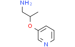 [2-(吡啶-3-氧基)丙基]胺