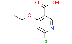 6-氯-4-乙氧基烟酸