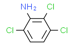[DR.E]2,3,6-三氯苯胺
