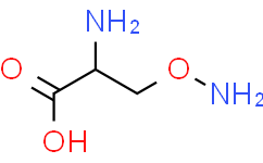2-氨基-3-(氨氧基)丙酸盐酸盐