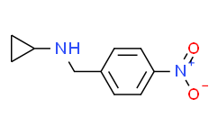 N-环丙基-4-硝基苄胺,95%