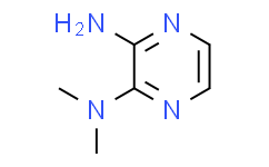 2-氨基-3-(二甲氨基)吡嗪,95%