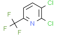 2，3-二氯-6-(三氟甲基)吡啶,95%