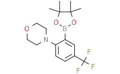 2-MORPHOLINO-5-TRIFLUOROMETHYLPHENYLBORONIC ACID, PINACOL ESTER