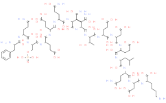 α-酪蛋白 来源于牛奶