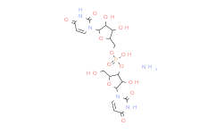 尿酸酶,from arthrobacter protophormiae，≥10 u/mg