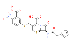 头孢菌素β-内酰胺酶,冻干粉，≥200万 units