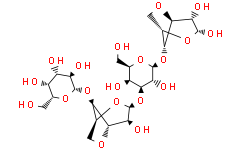 琼脂糖