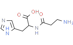 丙酮酸激酶