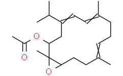 S-腺苷-L-甲硫氨酸转移酶