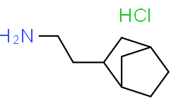2-双环[2.2.1]庚基-2-乙胺盐酸盐