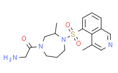 (S)-Glycyl-H-1152 (hydrochloride)(solution)