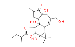 (Rac)-Phorbol-12-(2-methylbutyrate)