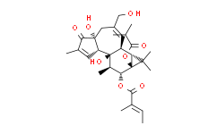 12-O-Tiglylphorbol-13 –isobutyrate