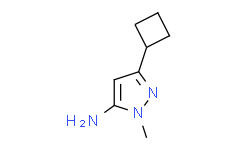 3-环丁基-1-甲基-1H-吡唑-5-胺