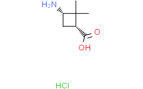 cis-3-amino-2,2-dimethyl-cyclobutanecarboxylic acid hydrochloride