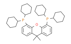 4，5-双(二环己基膦)-二苯并吡喃衍生物,98%