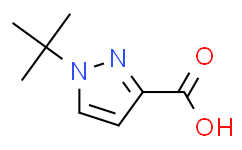 1-(叔丁基)-1H-吡唑-3-羧酸,≥95%