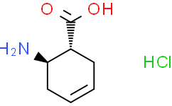 trans-6-aminocyclohex-3-ene-1-carboxylic acid hydrochloride