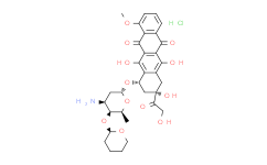 Pirarubicin Hydrochloride
