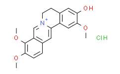 Jatrorrhizine Hydrochloride