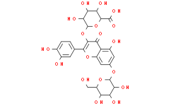 2025新老澳门原料
